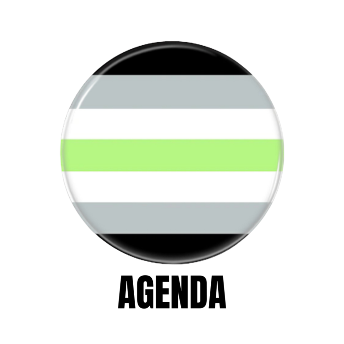 LGBTQ+ Agenda PRIDE Flags Button Pin Badge