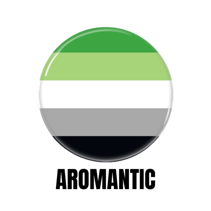 LGBTQ+ Aromantic PRIDE Flags Button Pin Badge