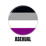 LGBTQ+ Asexual PRIDE Flags Button Pin Badge