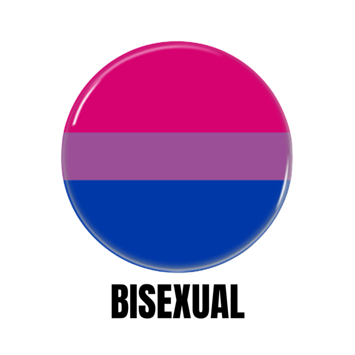 LGBTQ+ Bisexual PRIDE Flags Button Pin Badge