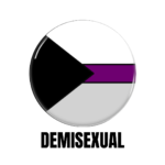 LGBTQ+ Demisexual PRIDE Flags Button Pin Badge
