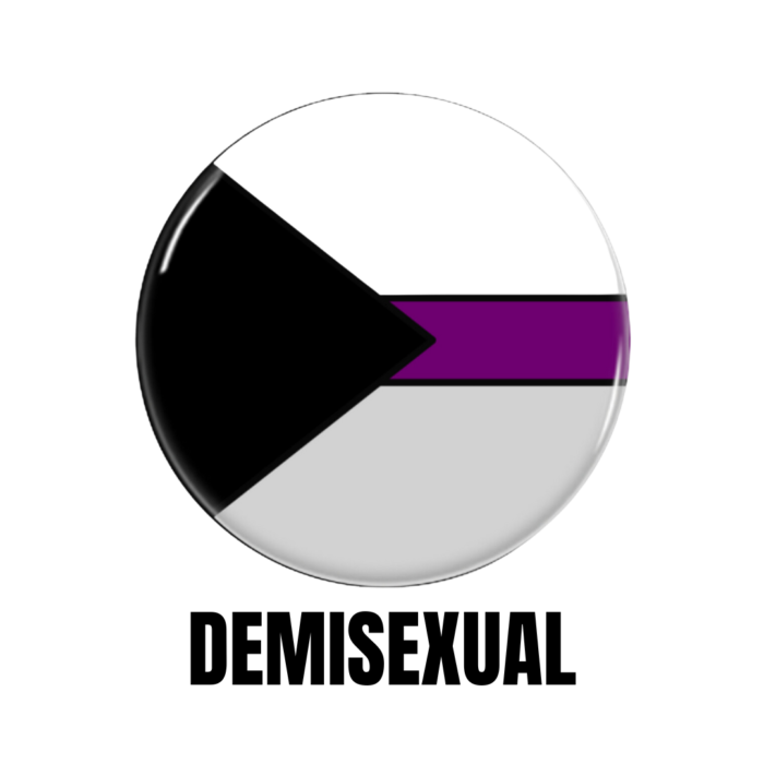 LGBTQ+ Demisexual PRIDE Flags Button Pin Badge