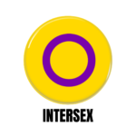 LGBTQ+ Intersex PRIDE Flags Button Pin Badge