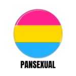 LGBTQ+ Pansexual PRIDE Flags Button Pin Badge