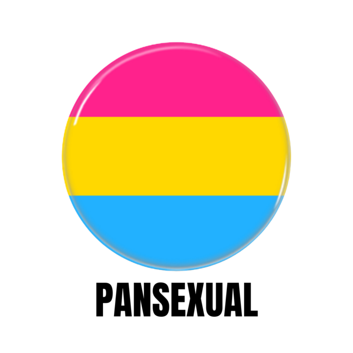 LGBTQ+ Pansexual PRIDE Flags Button Pin Badge