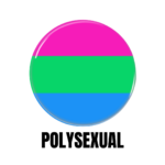 LGBTQ+ Polysexual PRIDE Flags Button Pin Badge