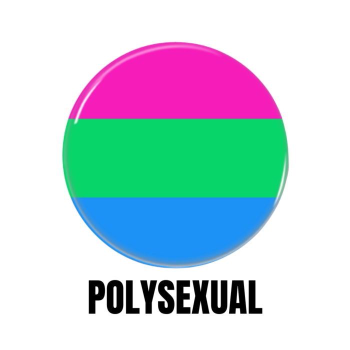LGBTQ+ Polysexual PRIDE Flags Button Pin Badge