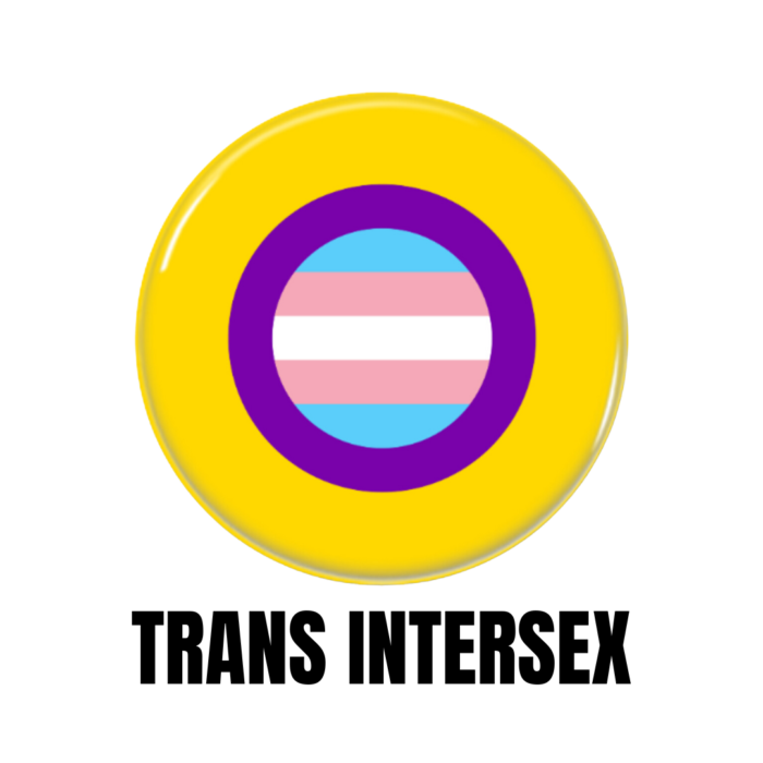 LGBTQ+ Trans Intersex Pride Flags Button Pin Badge