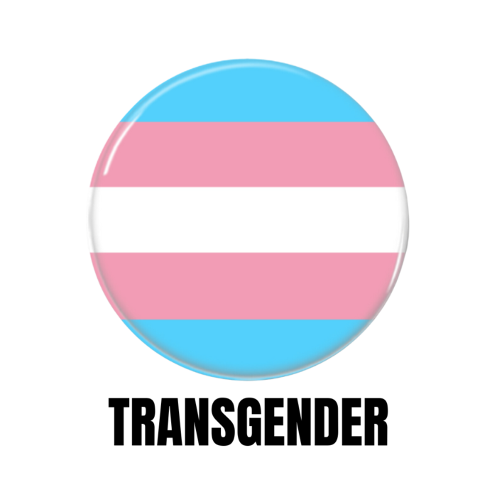LGBTQ+ Transgender Pride Flags Button Pin Badge