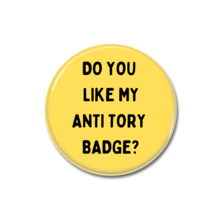 Do You Like My Anti Tory Badge Button Pin Badge