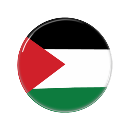 Free Palestine Flag Button Pin Badge Boycott Israel Merch