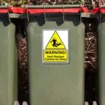 Anti Racism Canine Vinyl Sticker, Woke Left Wing Merch, Anti Fascist, Anti Reform UK, Anarchist Gift, No Human is illegal, Dog Warning Decal