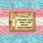 Magical Trans Rights Vinyl Sticker I Solemnly Swear Trans Rights Vinyl Sticker, 8x6 cm, Best Trans Equality LGBTQ+ Woman, Woke Left Wing Merch, Feminist PRIDE No Human is illegal