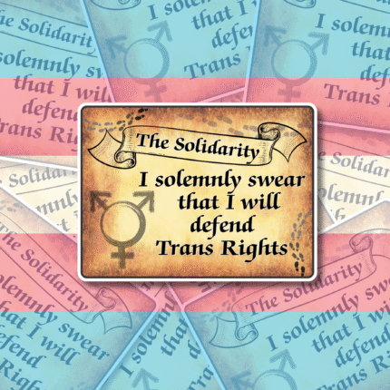 Magical Trans Rights Vinyl Sticker I Solemnly Swear Trans Rights Vinyl Sticker, 8x6 cm, Best Trans Equality LGBTQ+ Woman, Woke Left Wing Merch, Feminist PRIDE No Human is illegal