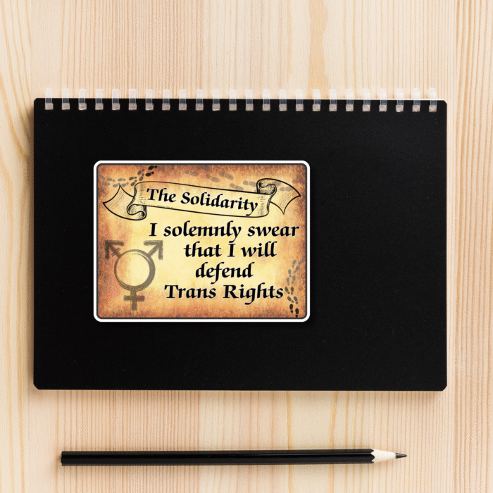 Magical Trans Rights Vinyl Sticker I Solemnly Swear Trans Rights Vinyl Sticker, 8x6 cm, Best Trans Equality LGBTQ+ Woman, Woke Left Wing Merch, Feminist PRIDE No Human is illegal
