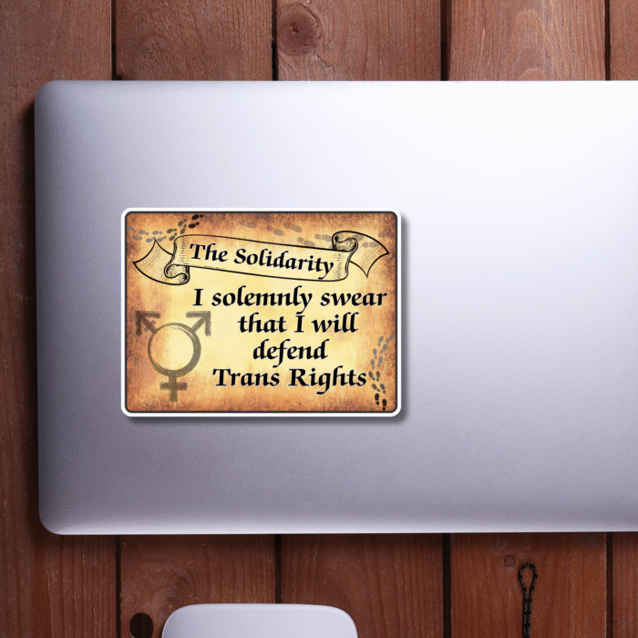 Magical Trans Rights Vinyl Sticker I Solemnly Swear Trans Rights Vinyl Sticker, 8x6 cm, Best Trans Equality LGBTQ+ Woman, Woke Left Wing Merch, Feminist PRIDE No Human is illegal