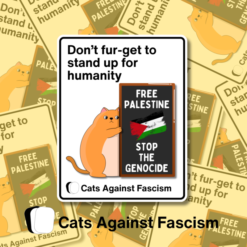 Palestine Cats Against Fascism Sticker Free Palestine Merch Stop Bombing Gaza. Palestine Action banned